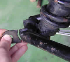 �E�t�����g�j����