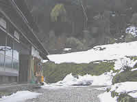 �Q���̌���