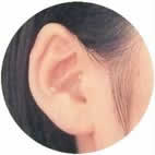 �����^�����^�f�W�^���⒮�푕�p�C���[�W�ʐ^