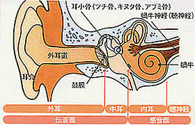 ���̕����� �����}