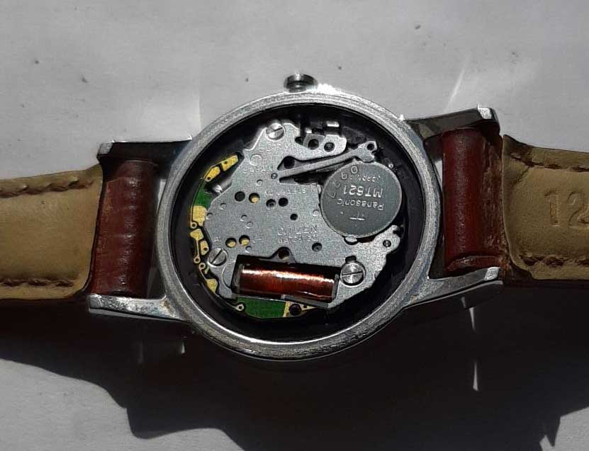 �\�[���[���v�����ʐ^