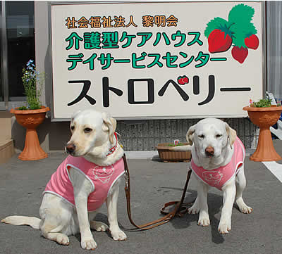 �P�A�n�E�X�̌��ւŃE�G�C�g���郏���R����