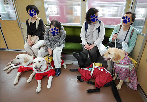 �d�Ԃ̒��Ń_�E������S�l�̃��[�U�[����Ɩӓ���