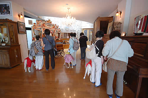 �I���S�[���ٌ��փz�[���ɂ�