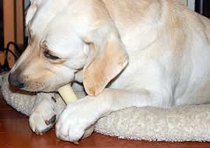 �~���L�[�{�[�����x�b�g�̟����g���ĉ���������ł������Ă���A�Y�L