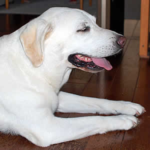 �X��H�׏I����Ė��������ȃ\���A�ł��܂������ł��[