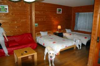 �R�e�[�W����������_�������郏���R����