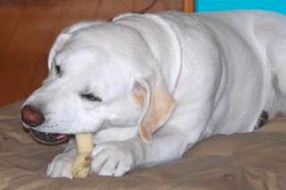 �����ɂȂ�ă~���L�[�|�[�����K�W�K�W����\��