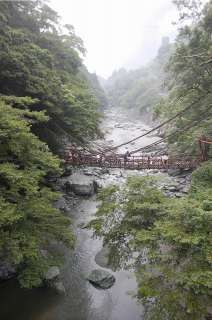 ����� �����狴