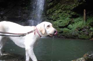 ���̐�������Ő�Ȃ߂��������A�Y�L