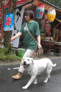 �}�}�Ɗ��������ɕ����\���@�J�����ڐ��ł�