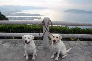 ���ّO�̓W�]��ŗ[����w�ɋL�O�B�e ��l�Ƃ���������