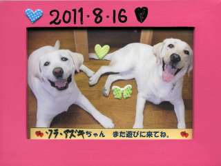 �����ق���ɂ����������\���ƃA�Y�L�̂��킢���t�H�g�t���[��