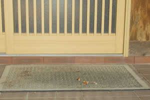 �}�b�g�̏�ɌI�̔炪�����Ă��܂�