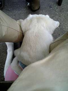 �֎q�̉��Ƀ_�E�����l�̑��̊Ԃ�������̂��ꂳ��̑������`�F�b�N���̃\��