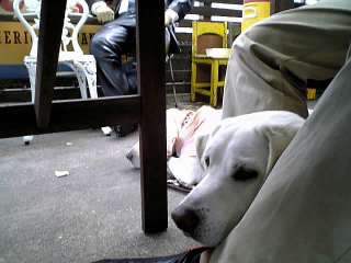 �l�̑��𖍂ɂ��ꂳ��̑������`�F�b�N���̃\��