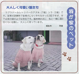 ���C�t�ڂ��������R�����̋L���Ǝʐ^