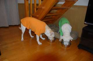 �H�����̃����R����