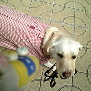 ���[�h���������ӂ��Ȋ�ŁA�q�[�����ĕ����A�Y�L�ł�