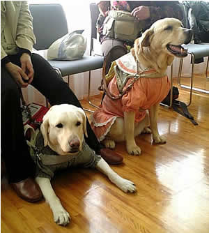 ���T�C�^����̃��Z�v�V�����ł����ƂȂ������ꂳ���҂��Ă�ӓ�������