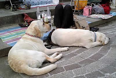 �[�H��A���Ԃ܂ł݂�Ȃŋx�e��