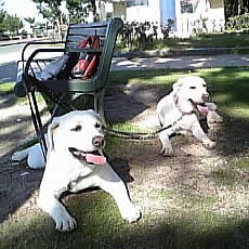 ���т̉��Ń_�E�����Ă����l