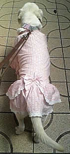 �n�[�t�R�[�g�𒅂��\���A�w�����猩���ʐ^