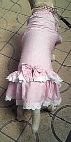 �n�[�t�R�[�g�𒅂��A�Y�L�A�w�����猩���ʐ^