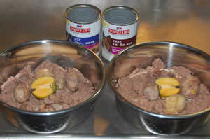 �`�ƌI���g�b�s���O�����h�b�N�t�[�h