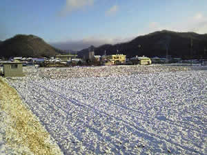 �ቻ�ς������i