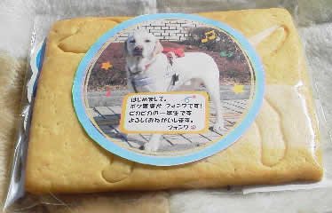 �t�H���N�N�̎ʐ^�t���N�b�L�[