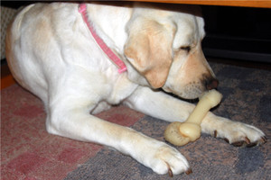 ���[�e�[�u���̉��Ń~���L�[�{�[���Ɗi������A�Y�L