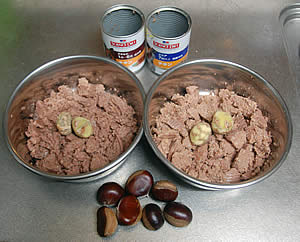 ����̃f�B�i�[�A�I�̃g�b�s���O