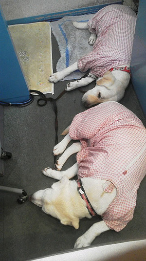 ���x�͑I����A�\�����o�ė��܂���