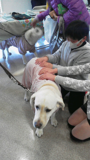 �ӓ����`�����e�B�O�b�Y�̔��R�[�i�[�O�ŁA���q�l����������\���ƃA�Y�L