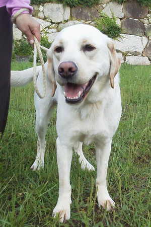 ���ꂵ�������[�h�̃t�H���N����@�ׂ����[�h�ŕ����܂�