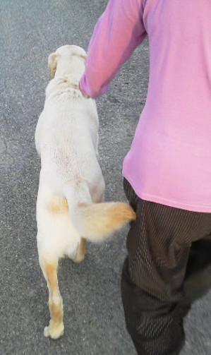 �n�[�l�X����Ȃ��Ă��A���Ƀ��[�g���ł��Ă��܂�