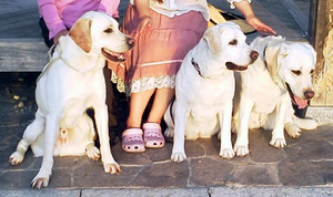 �x�e�� �O������ŋL�O�B�e�A������t�H���N���� �\�� �A�Y�L