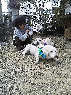 ���q�����w