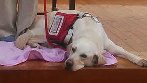 �����b�N�X���đҋ@��