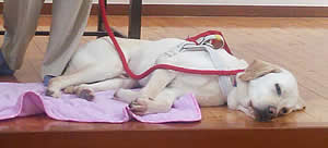 �����ƃ����b�N�X���āA���x�ݒ��E�E�E