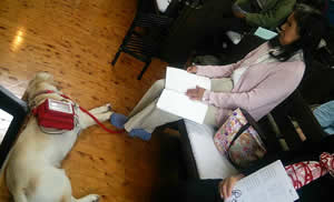 �q�t�̂��b�𕷂��Ă��܂��B�Q�Ă���񂶂Ⴀ��܂���E�E�E