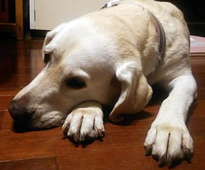 �J�������`�����`