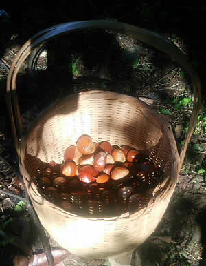 �I��������