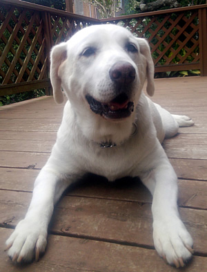 13�΂̋L�O�B�e �l�{�̑������΂��ĕ������Ńp�`���@���ӂ̃����b�N�X�|�[�Y�ł�