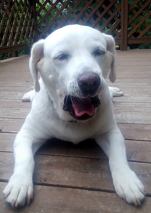 �Ō�́A�����ъ��