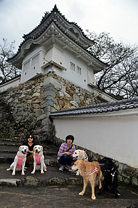 ������ʂ�