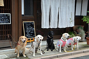 ���֑O�ŋL�O�B�e