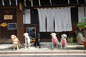 ���֑O�ŋL�O�B�e2 �݂�ȃV�b�c���Ĉ̂��ˁ[