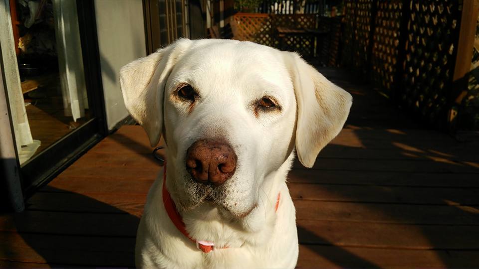 �\���Ł[�� !!